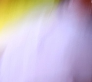 CURSO CONTANDO HISTÓRIAS - MARATONA E FORMATURA - TURMA RITA SANTOS CONTADORA DE HISTÓRIAS