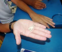 FECHAMENTO DO PROJETO CUIDA DE MIM - EEEFM TEOTÔNIO B. VILELA