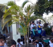 CONTAÇÃO DE HISTÓRIA NA BIBLIOTECA ADELPHO MONJARDIM - NTV