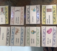 CURSO CONTANDO HISTÓRIAS COLORINDO VIDAS - RESGATE DA LUDICIDADE E TÉCNICAS P/ CONTAR HISTÓRIA