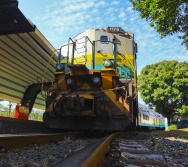 NA TRILHA DOS VALORES - AULA DE CAMPO - TREM