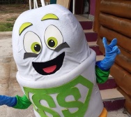 ENCERRAMENTO DO PROJETO NTV