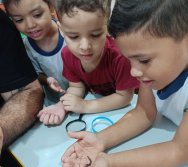 PROGRAMA COLORIR SUSTENTÁVEL