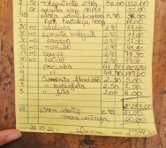 PROGRAMA COLORIR SUSTENTÁVEL - ETAPA PEQUENOS HORTICULTORES