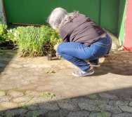 PROGRAMA COLORIR SUSTENTÁVEL - ETAPA PEQUENOS HORTICULTORES