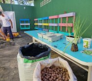 PROGRAMA COLORIR SUSTENTÁVEL - ETAPA PEQUENOS HORTICULTORES