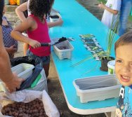 PROGRAMA COLORIR SUSTENTÁVEL - ETAPA PEQUENOS HORTICULTORES