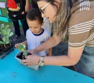 PROGRAMA COLORIR SUSTENTÁVEL - ETAPA PEQUENOS HORTICULTORES