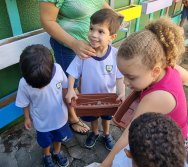 PROGRAMA COLORIR SUSTENTÁVEL - ETAPA PEQUENOS HORTICULTORES