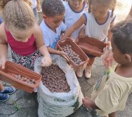 PROGRAMA COLORIR SUSTENTÁVEL - ETAPA PEQUENOS HORTICULTORES