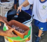 PROGRAMA COLORIR SUSTENTÁVEL - ETAPA PEQUENOS HORTICULTORES