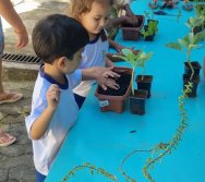 PROGRAMA COLORIR SUSTENTÁVEL - ETAPA PEQUENOS HORTICULTORES