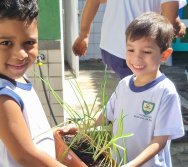 PROGRAMA COLORIR SUSTENTÁVEL - ETAPA PEQUENOS HORTICULTORES