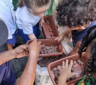 PROGRAMA COLORIR SUSTENTÁVEL - ETAPA PEQUENOS HORTICULTORES