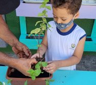 PROGRAMA COLORIR SUSTENTÁVEL - ETAPA PEQUENOS HORTICULTORES
