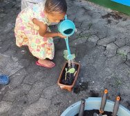 PROGRAMA COLORIR SUSTENTÁVEL - ETAPA PEQUENOS HORTICULTORES