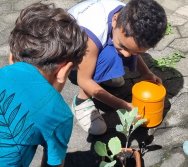 PROGRAMA COLORIR SUSTENTÁVEL - ETAPA PEQUENOS HORTICULTORES