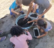 PROGRAMA COLORIR SUSTENTÁVEL - ETAPA PEQUENOS HORTICULTORES