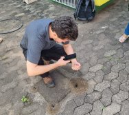 PROJETO COLORIR SUSTENTÁVEL EM AÇÃO NO CMEI VERA CALMON - ANO MANUTENÇÃO