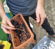 PROJETO COLORIR SUSTENTÁVEL EM AÇÃO NO CMEI VERA CALMON - ANO MANUTENÇÃO