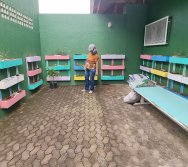 PROJETO COLORIR SUSTENTÁVEL EM AÇÃO NO CMEI VERA CALMON - ANO MANUTENÇÃO