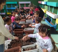 PROJETO COLORIR SUSTENTÁVEL EM AÇÃO NO CMEI VERA CALMON - ANO MANUTENÇÃO