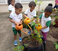 USO DO BIOFERTILIZANTE NA HORTA DO PROJETO COLORIR SUSTENTÁVEL - ELKEM