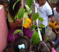 USO DO BIOFERTILIZANTE NA HORTA DO PROJETO COLORIR SUSTENTÁVEL - ELKEM