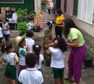 USO DO BIOFERTILIZANTE NA HORTA DO PROJETO COLORIR SUSTENTÁVEL - ELKEM