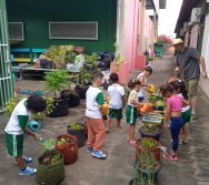 USO DO BIOFERTILIZANTE NA HORTA DO PROJETO COLORIR SUSTENTÁVEL - ELKEM