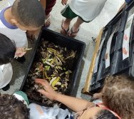 PROJETO COLORIR SUSTENTÁVEL - AS TURMAS VÃO ALIMENTAR AS MINHOCAS