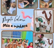 MASCOTE PROJETO COLORIR SUSTENTÁVEL PREMIADO - PARCERIA COM A EMPRESA ELKEM