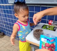 DIA DE PLANTAR RABANETES COM O CMEI REGIONAL SILVESTRE - PEQUENOS HORTICULTORES NO PROJETO COLORIR SUSTENTÁVEL