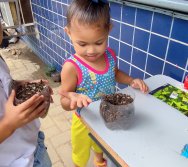 DIA DE PLANTAR RABANETES COM O CMEI REGIONAL SILVESTRE - PEQUENOS HORTICULTORES NO PROJETO COLORIR SUSTENTÁVEL