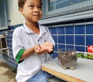 DIA DE PLANTAR RABANETES COM O CMEI REGIONAL SILVESTRE - PEQUENOS HORTICULTORES NO PROJETO COLORIR SUSTENTÁVEL