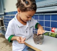 DIA DE PLANTAR RABANETES COM O CMEI REGIONAL SILVESTRE - PEQUENOS HORTICULTORES NO PROJETO COLORIR SUSTENTÁVEL