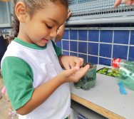 DIA DE PLANTAR RABANETES COM O CMEI REGIONAL SILVESTRE - PEQUENOS HORTICULTORES NO PROJETO COLORIR SUSTENTÁVEL