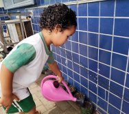 DIA DE PLANTAR RABANETES COM O CMEI REGIONAL SILVESTRE - PEQUENOS HORTICULTORES NO PROJETO COLORIR SUSTENTÁVEL