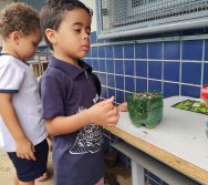 DIA DE PLANTAR RABANETES COM O CMEI REGIONAL SILVESTRE - PEQUENOS HORTICULTORES NO PROJETO COLORIR SUSTENTÁVEL