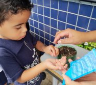 DIA DE PLANTAR RABANETES COM O CMEI REGIONAL SILVESTRE - PEQUENOS HORTICULTORES NO PROJETO COLORIR SUSTENTÁVEL