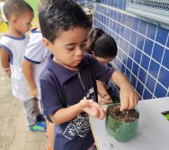 DIA DE PLANTAR RABANETES COM O CMEI REGIONAL SILVESTRE - PEQUENOS HORTICULTORES NO PROJETO COLORIR SUSTENTÁVEL