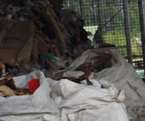 VISITA TÉCNICA DOS PROJETOS SOCIAIS PATROCINADOS PELA MARCA AMBIENTAL À EMPRESA