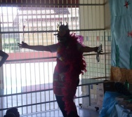 VISITA DO SR, MOISES PANGONI-  representante da Instituição da Noruega ((Norwegian Church Aid)