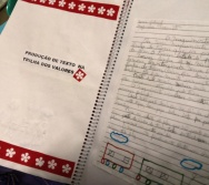 TRABALHO DA PROFESSORA IVANETE COM ALUNOS NTV