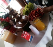 FECHAMENTO DO NTV NO PARQUE BOTÂNICO DA VALE