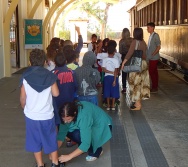 PROJETO NTV - EMEF LACY ZULEICA NUNES - CARAPINA GRANDE - SERRA - AULA DE CAMPO