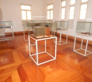 PROJETO NTV - EMEF LACY ZULEICA NUNES - CARAPINA GRANDE - SERRA - AULA DE CAMPO