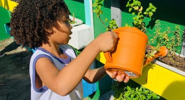 PROGRAMA COLORIR SUSTENTÁVEL - PEQUENOS HORTICULTORES EM MANUTENÇÃO 