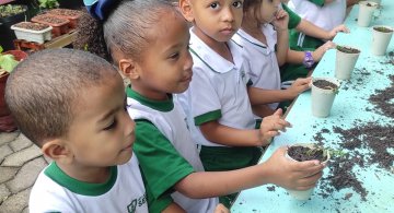 PROJETO COLORIR SUSTENTÁVEL- ETAPA PEQUENOS HORTICULTORES