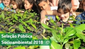 Participação do COLORIR e outras organizações da apresentação do edital 2018 Petrobrás 